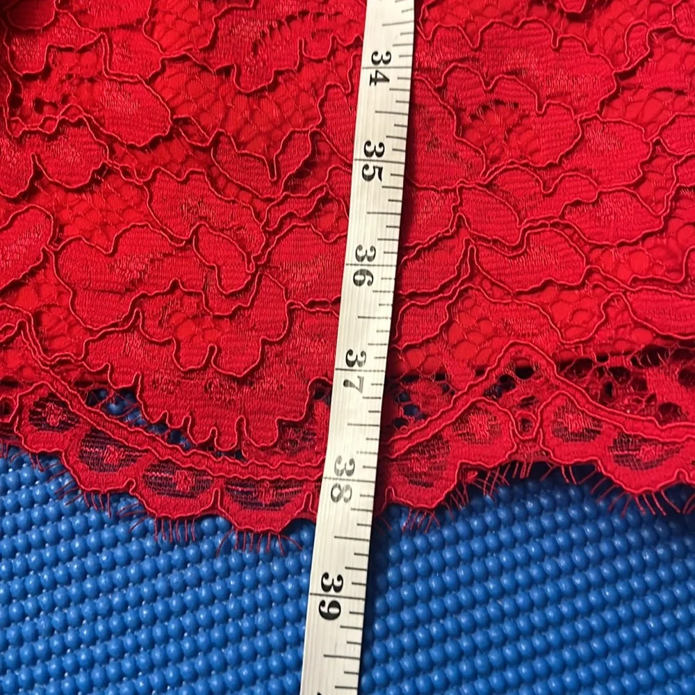 Adrianna Papell Illusions Lace Red Sheath Dress